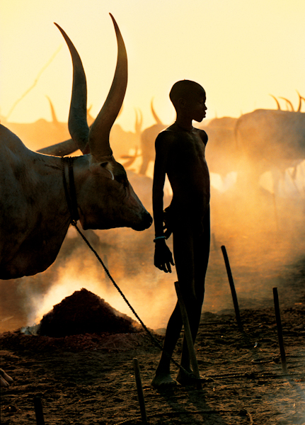 Dinka Boy with Namesake Ox