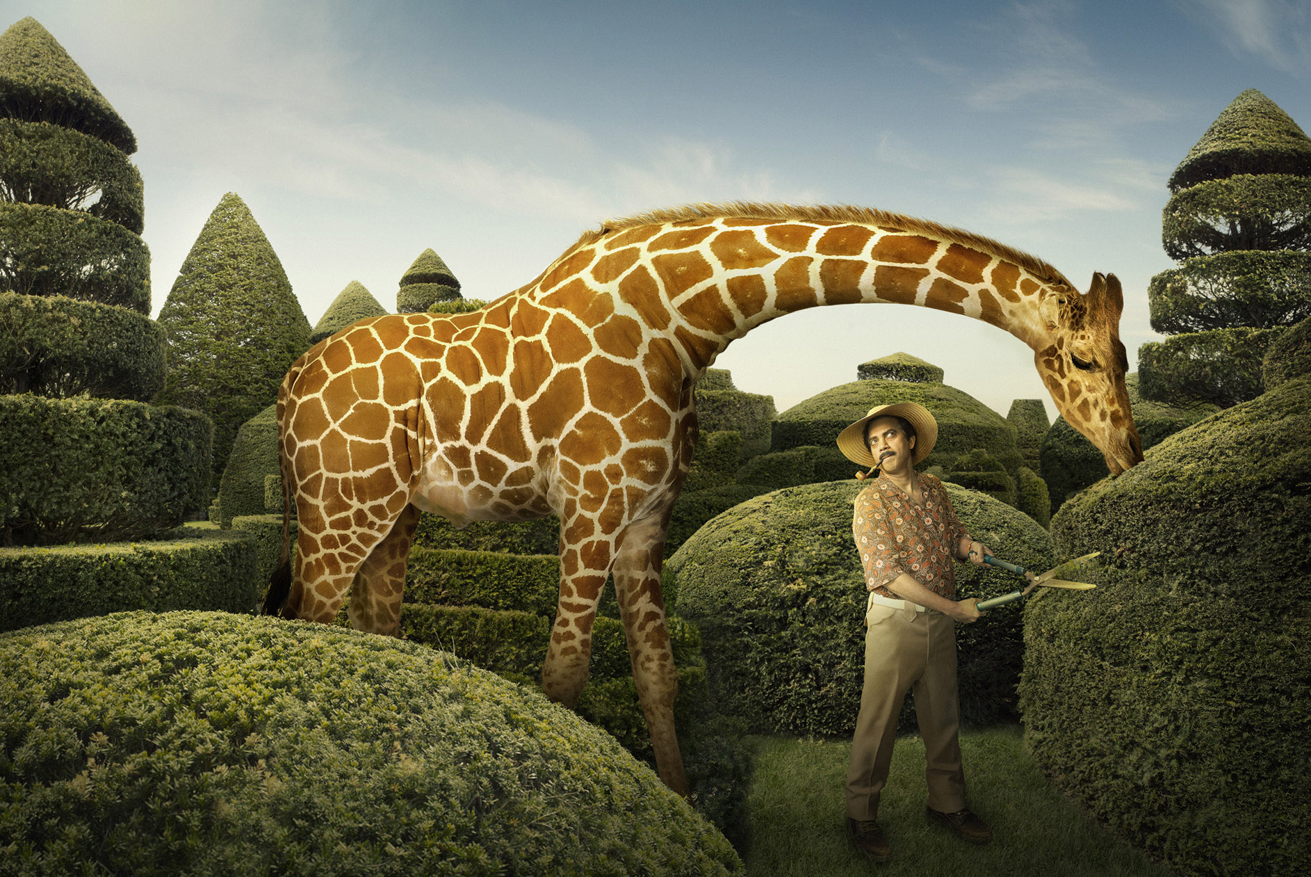 chris crisman conceptual portrait gardener