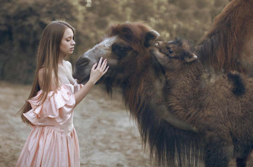 katerina-plotnikova-photography-animals-12