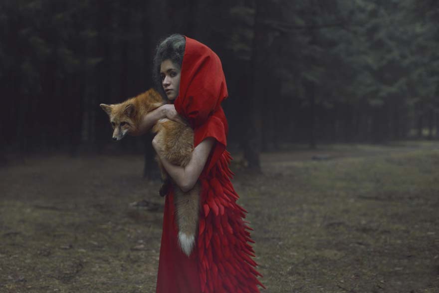 katerina-plotnikova-photography-animals-13