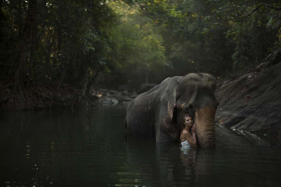 katerina-plotnikova-photography-animals-3