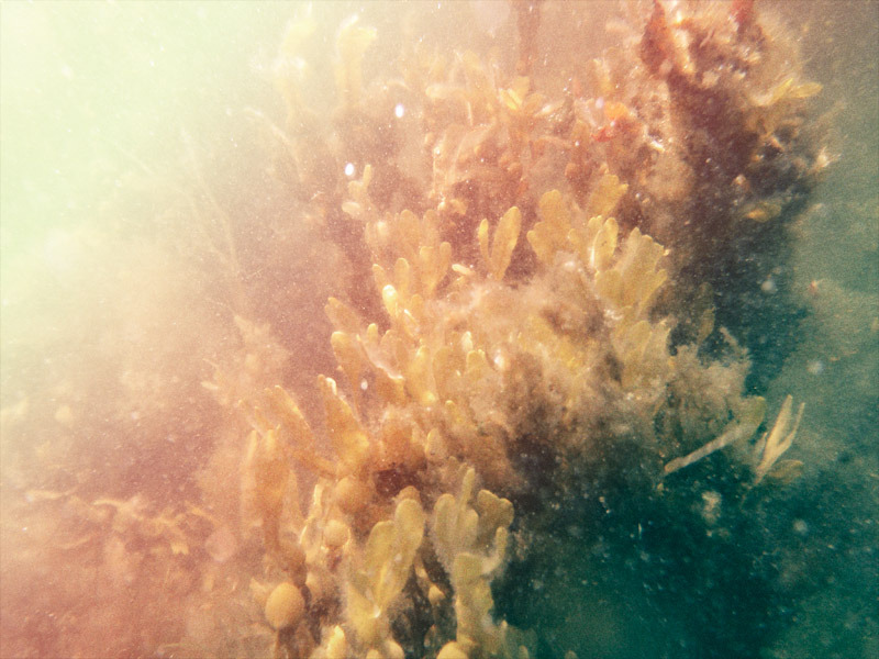 martinjohansson-diseno-oldskull-14