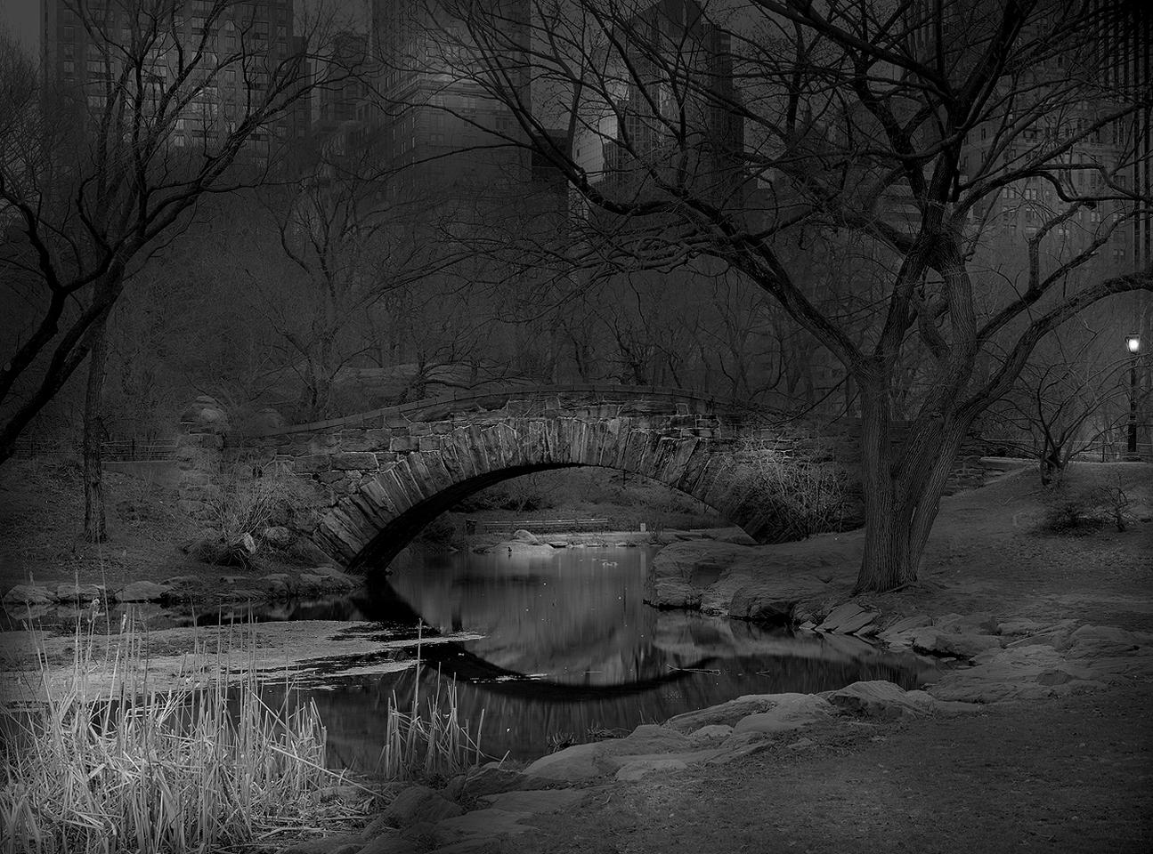 central park en la noche 1