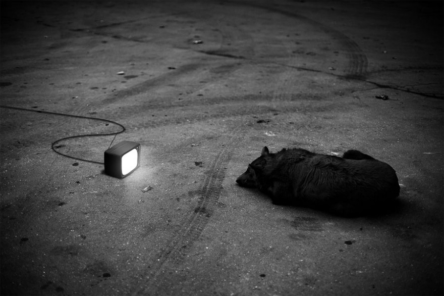 foto_mas_surrealistas-fotografia-oldskull-11