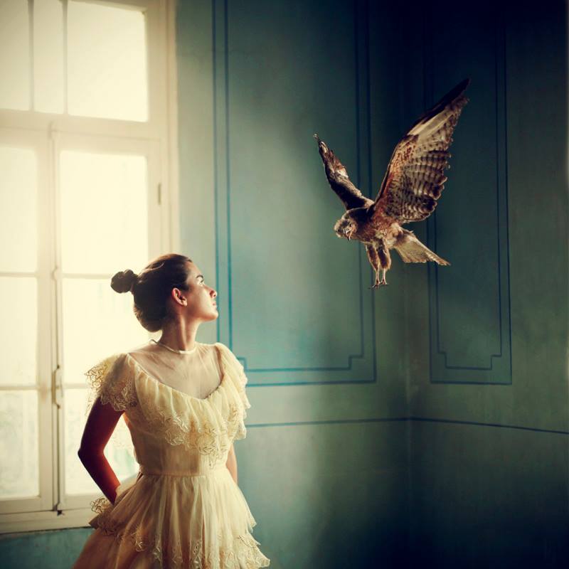 lara zankoul photography 12