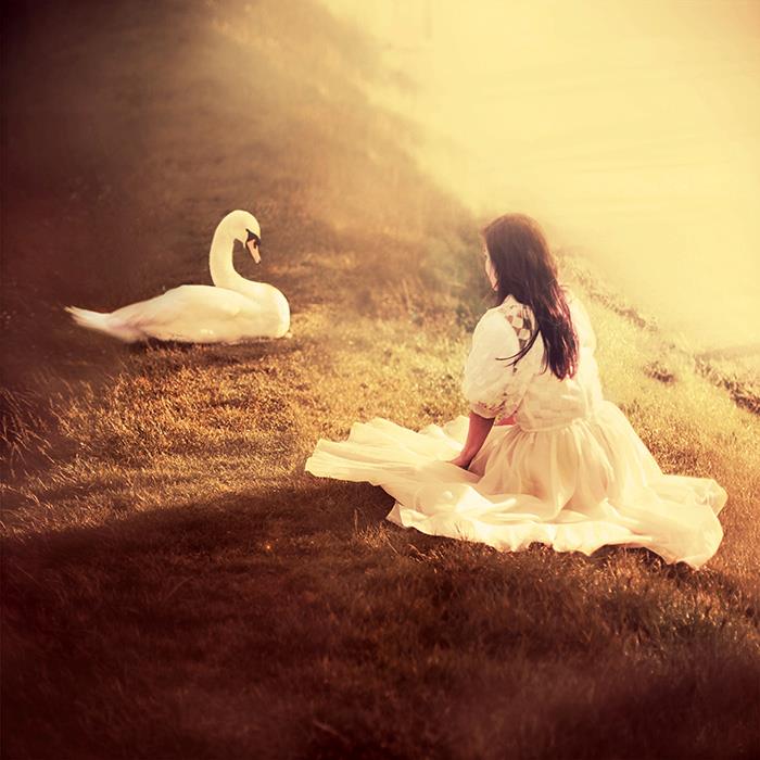 lara zankoul photography 13