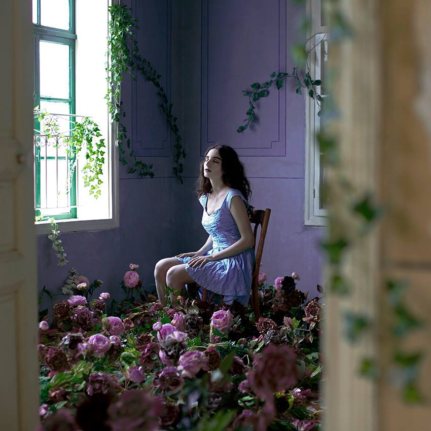 lara zankoul photography 6