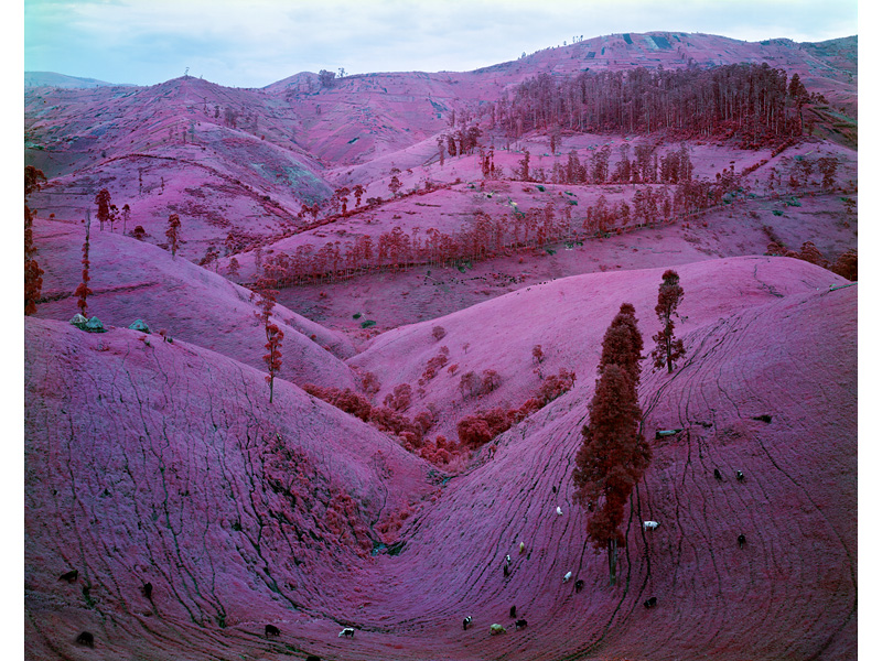 richardmosse-foto-oldskull-10