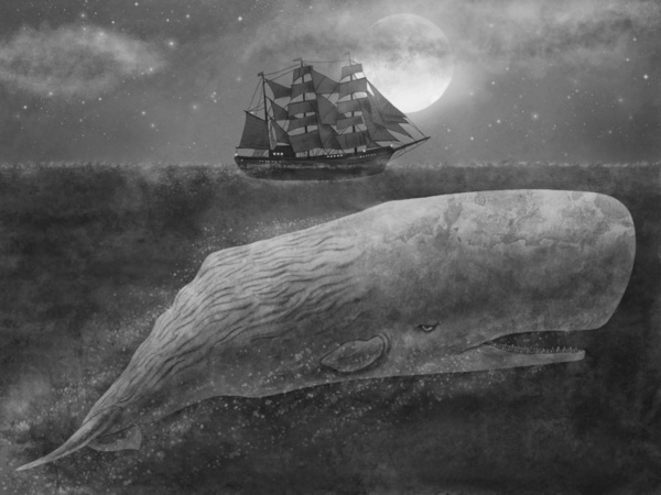 terryfan-dibujo-oldskull-18