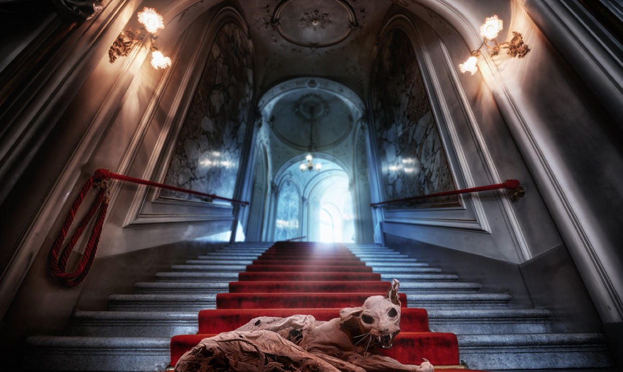 JohnWilhelm-foto-oldskull-01