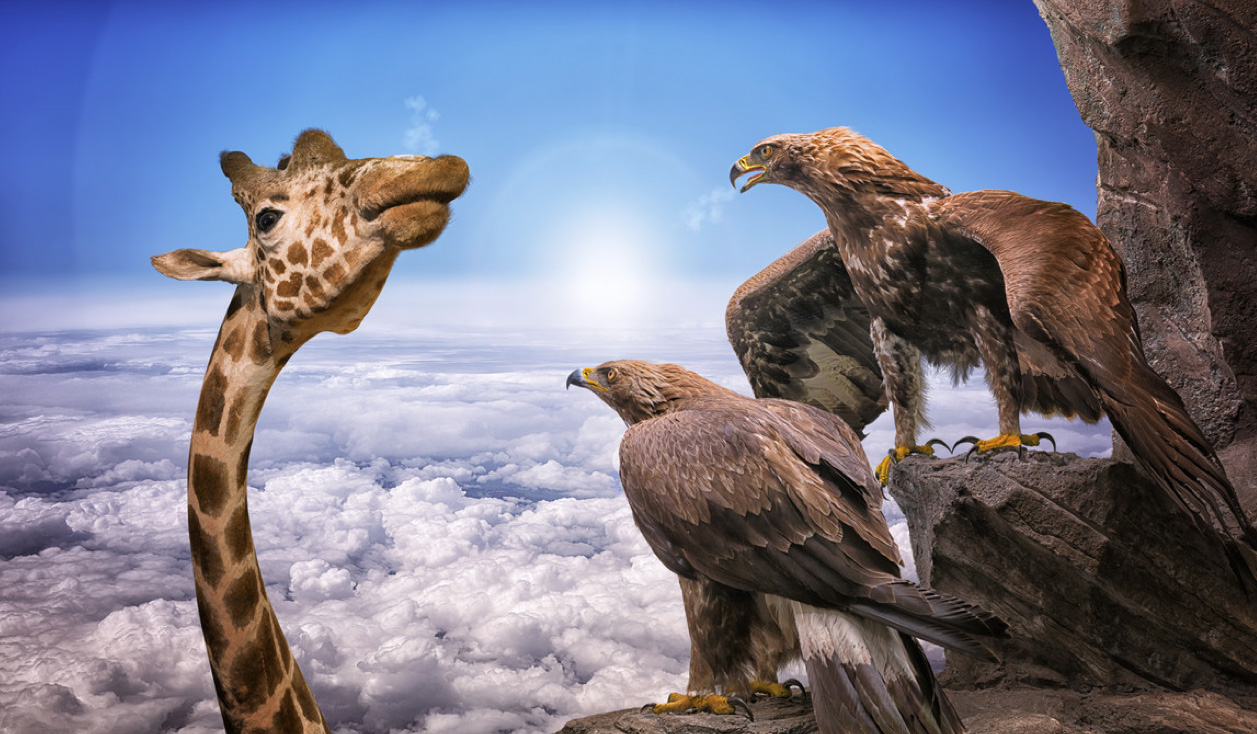 JohnWilhelm-foto-oldskull-04