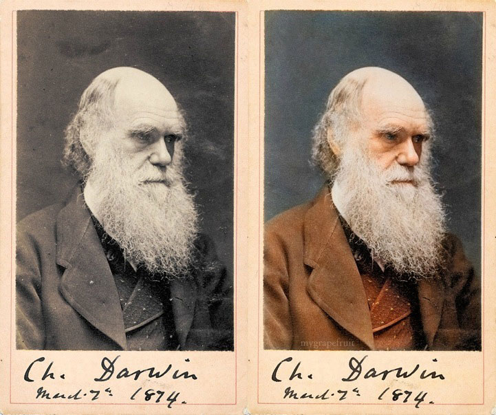 charles darwin 1874