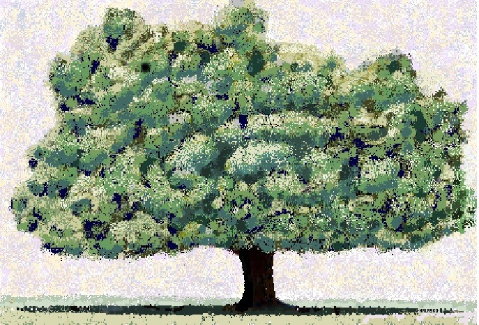 hal lasko art 3