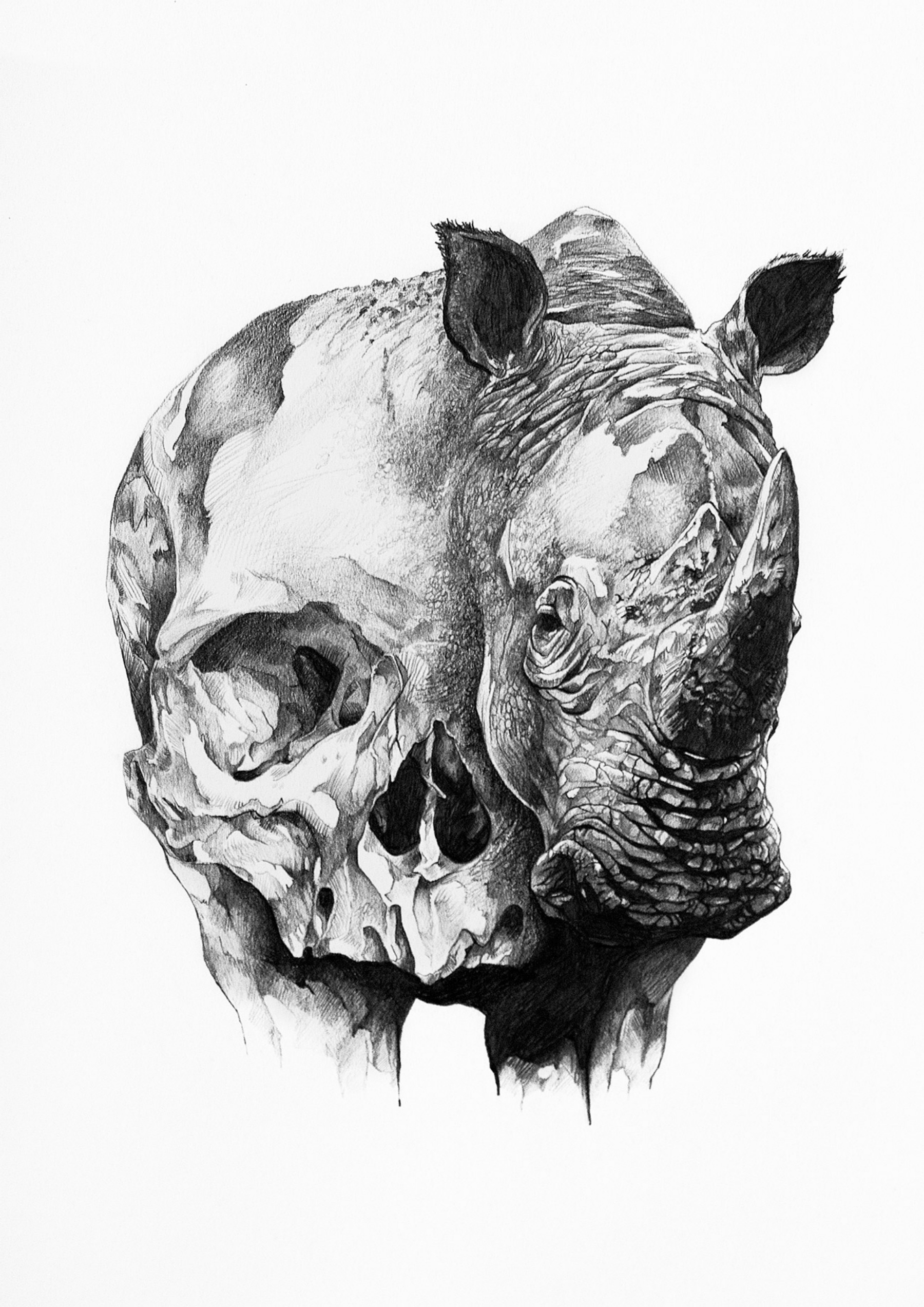 Ivan kamargio illustration 1