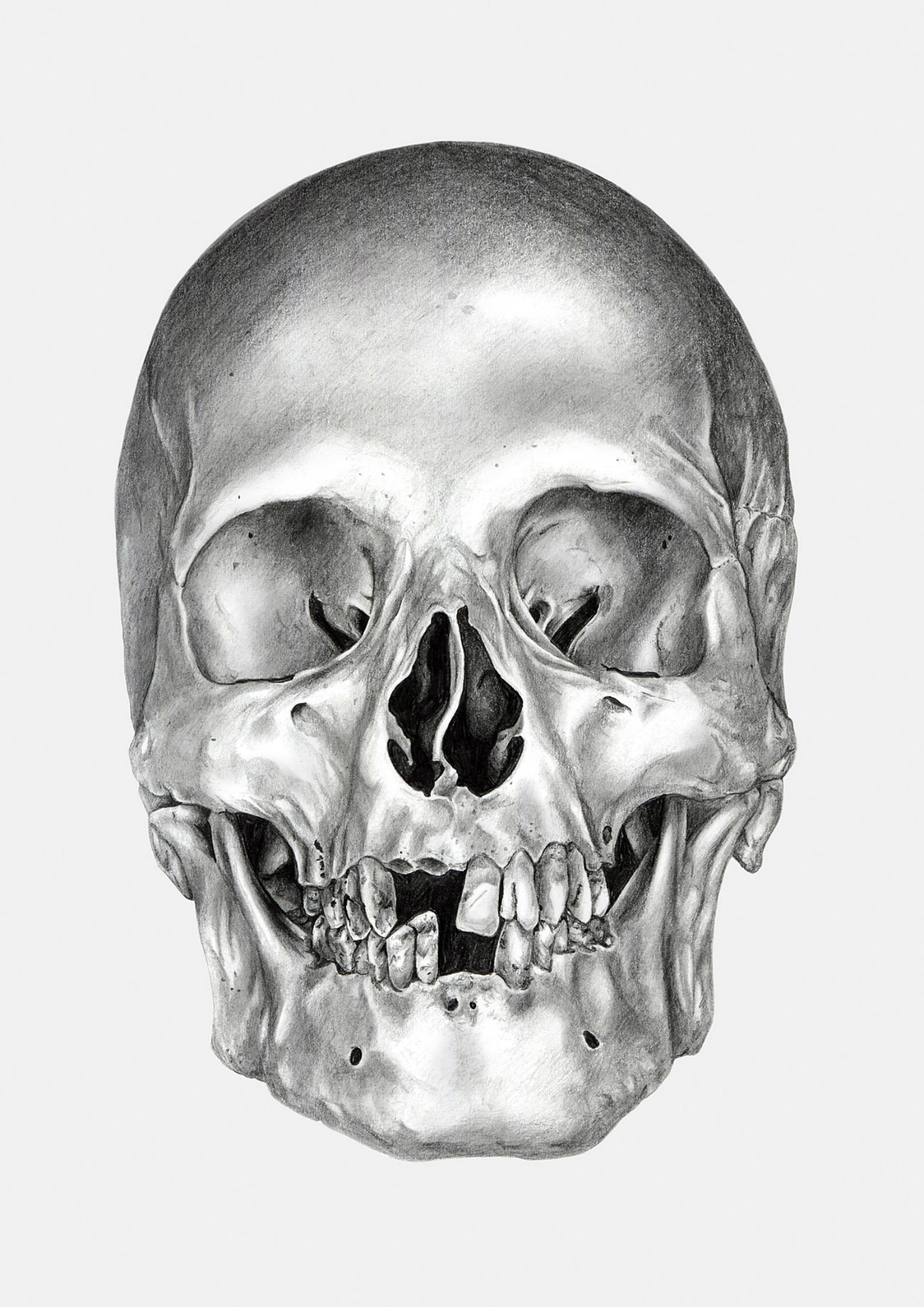 Ivan kamargio illustration 6