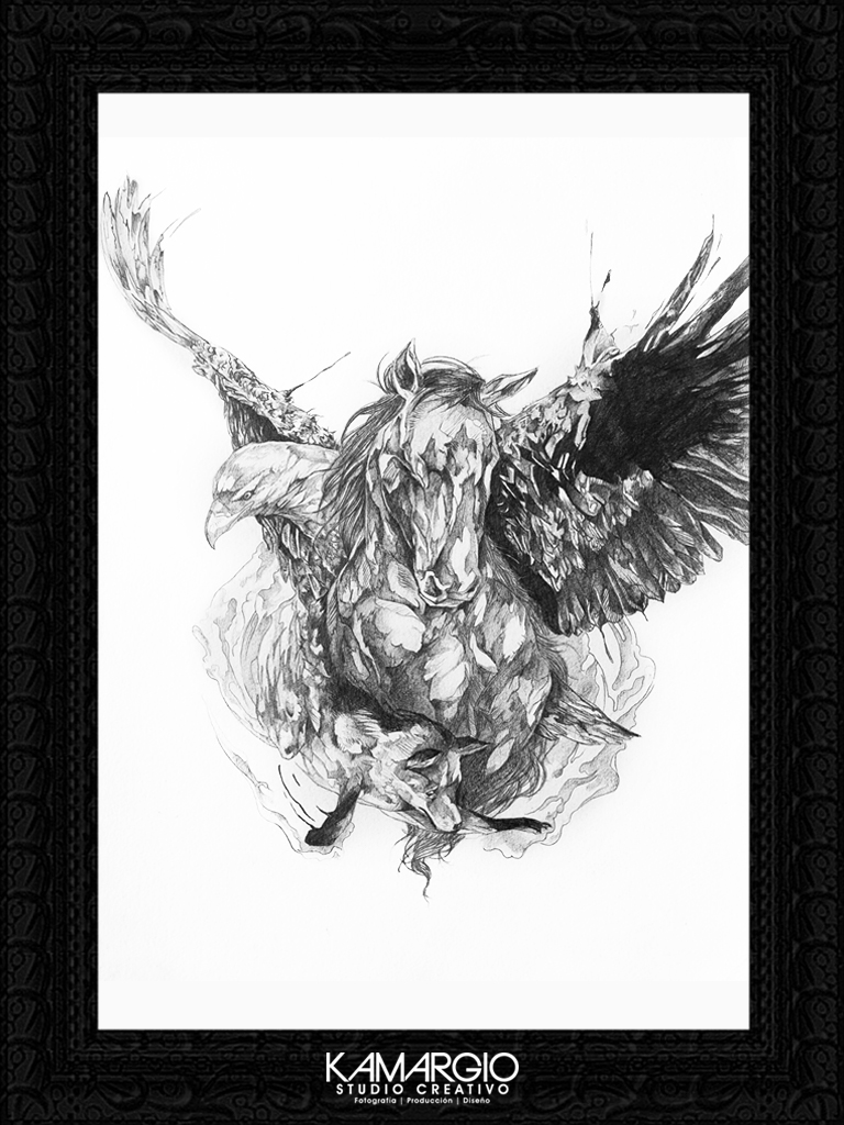 Ivan kamargio illustration 9