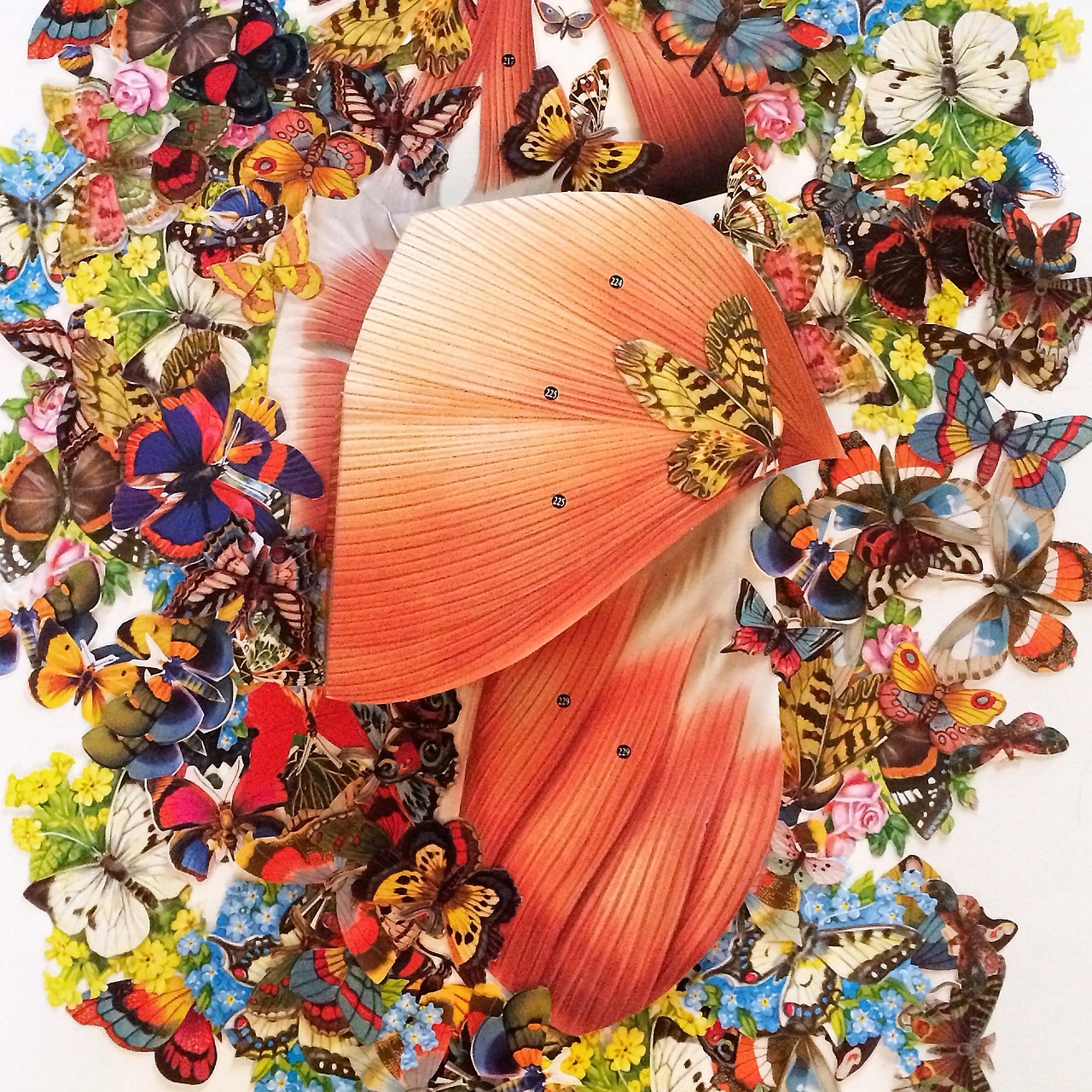 collage Bedelgeuse art 10