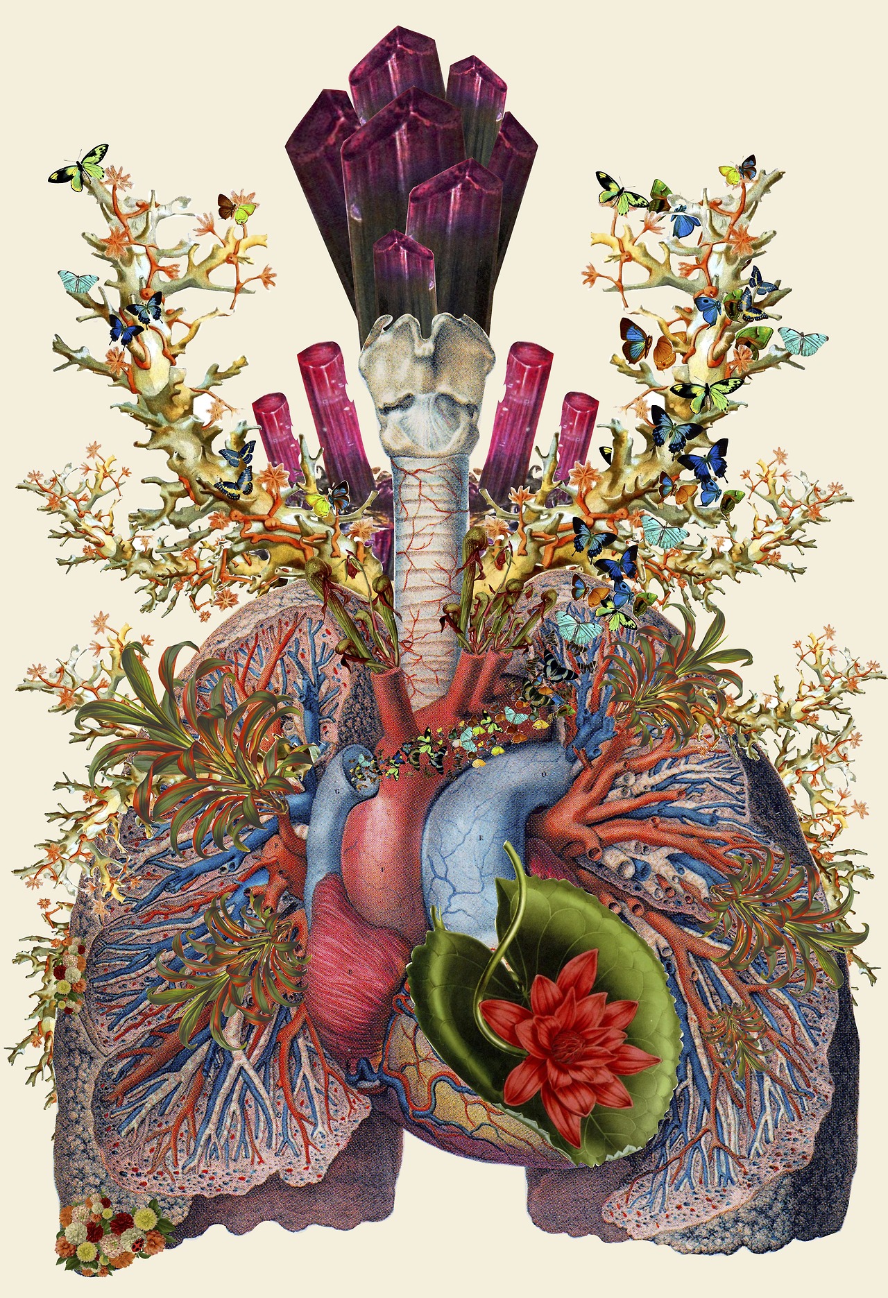 collage Bedelgeuse art 11