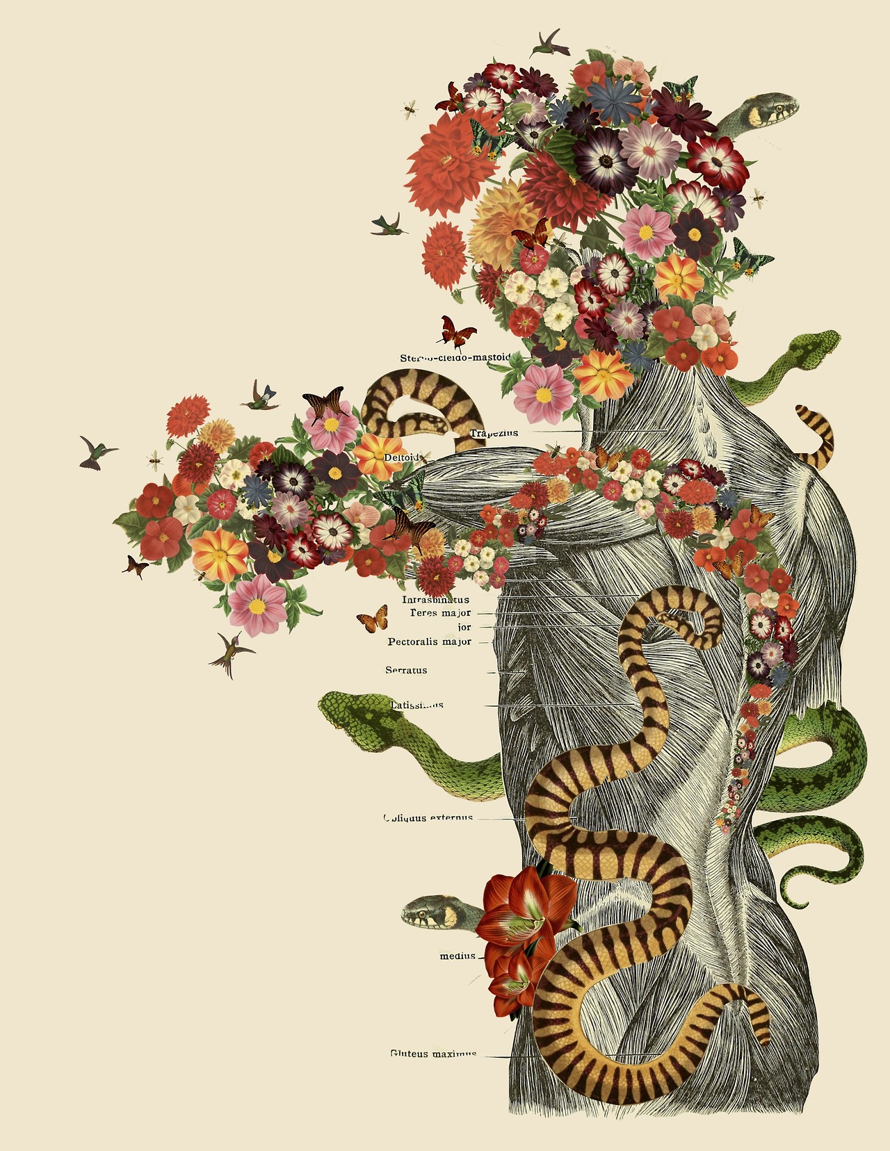 collage Bedelgeuse art 12