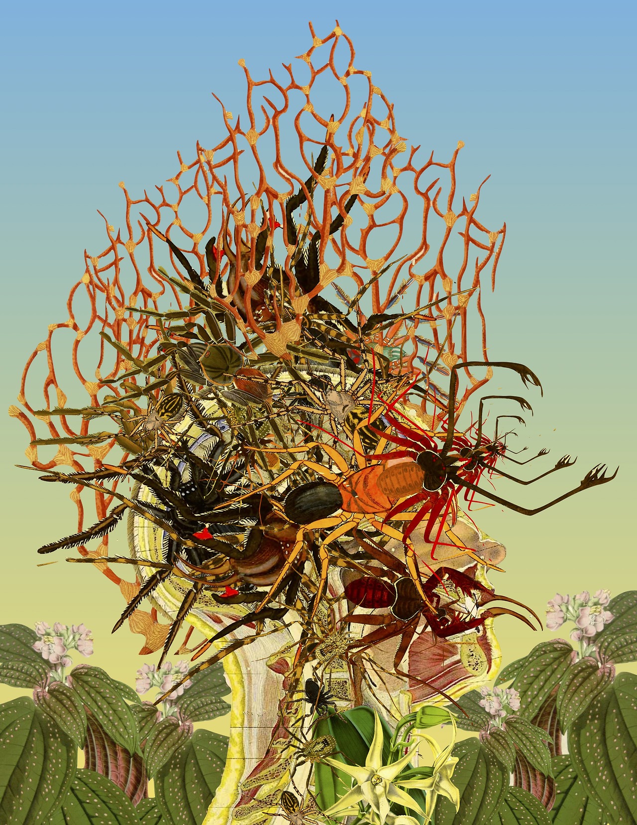 collage Bedelgeuse art 4