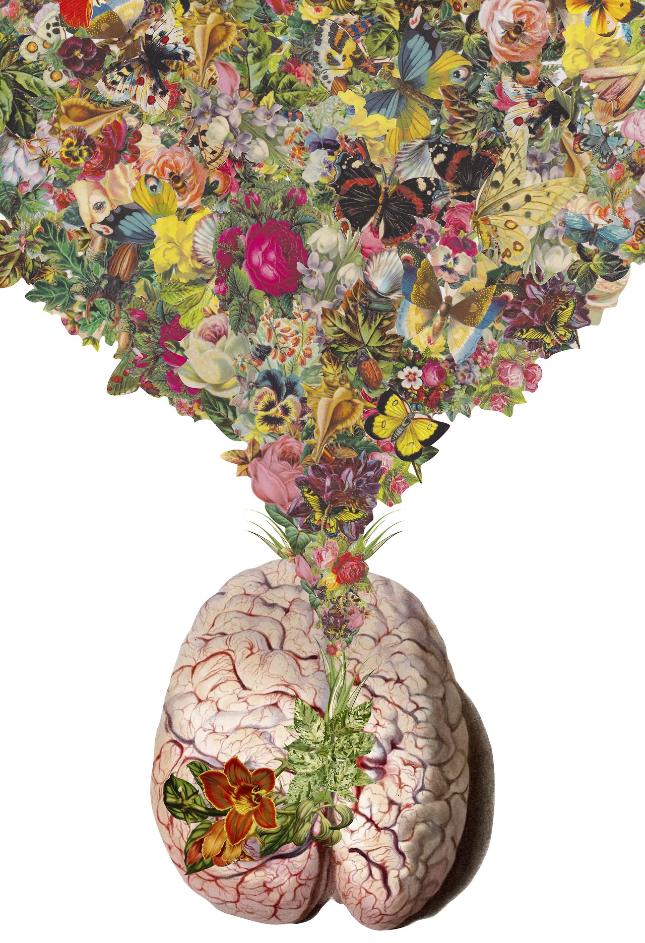 collage Bedelgeuse art 5
