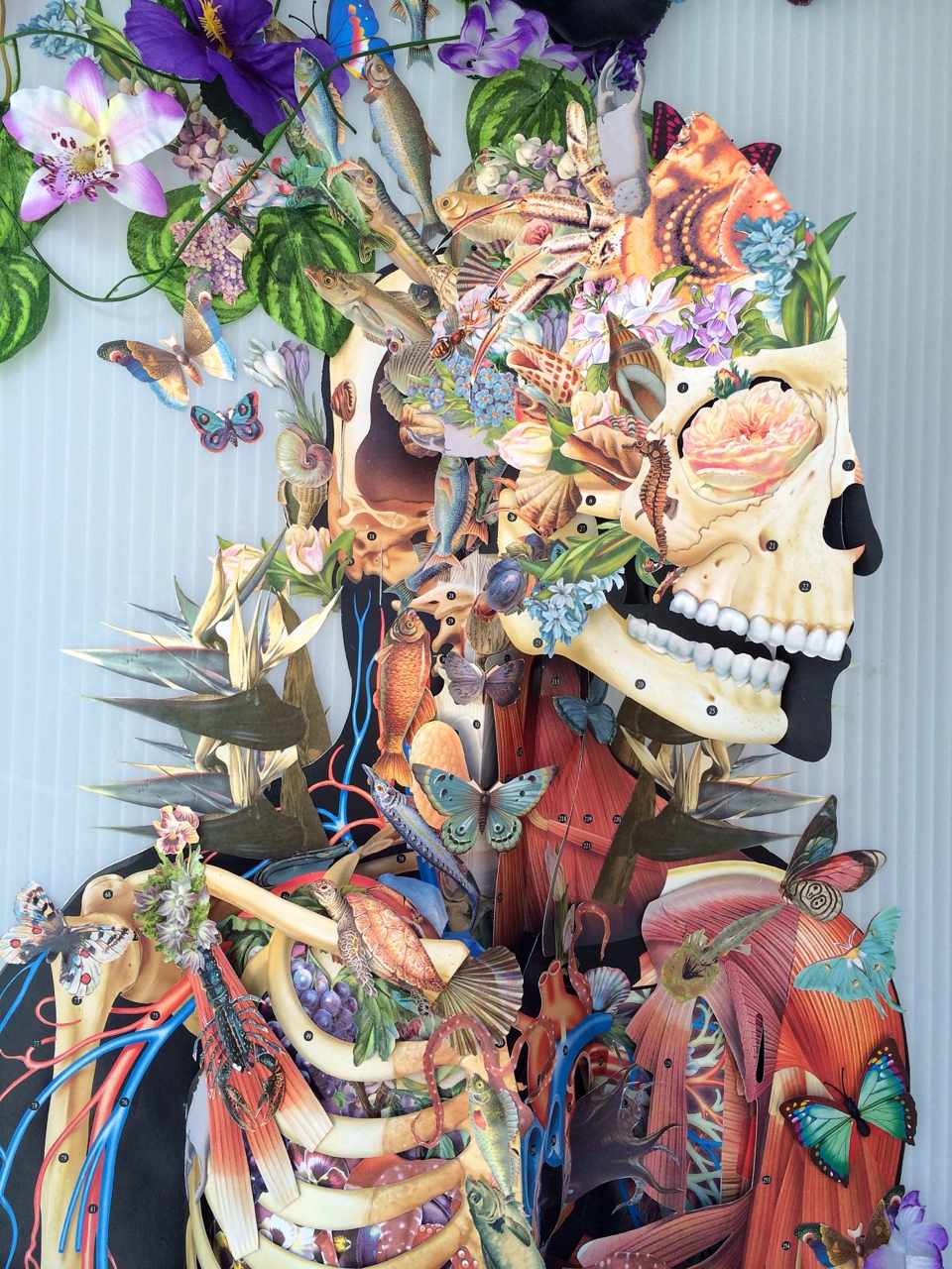 collage Bedelgeuse art 6