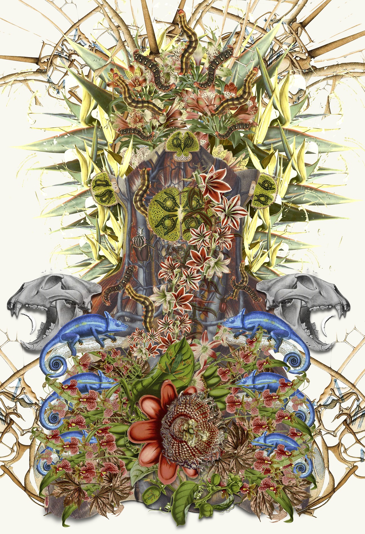 collage Bedelgeuse art 7