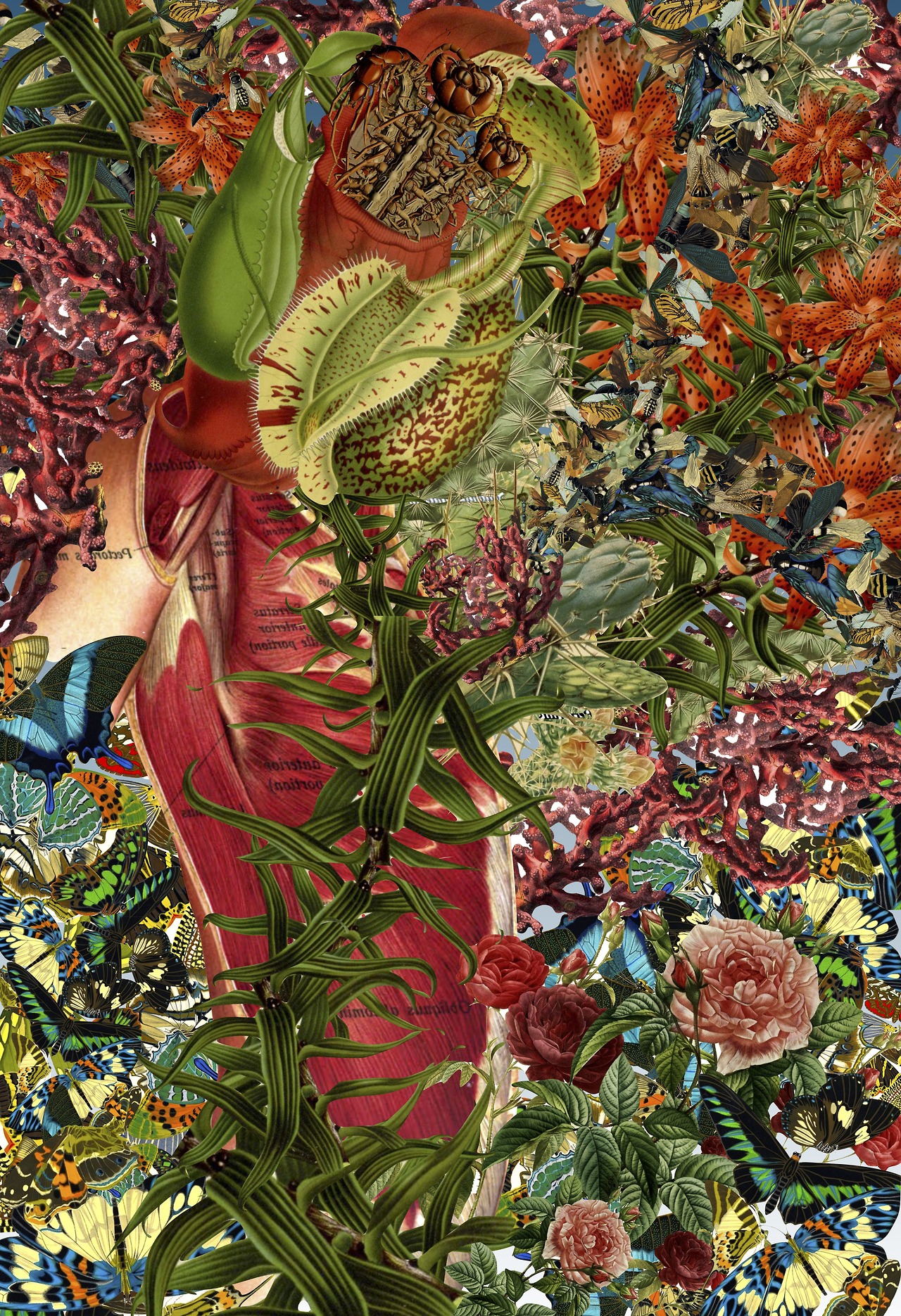 collage Bedelgeuse art 9