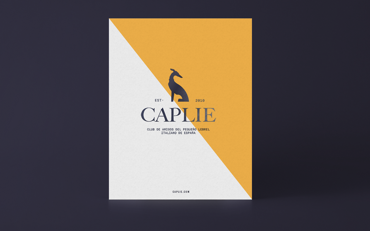 quim marin graphic design 5