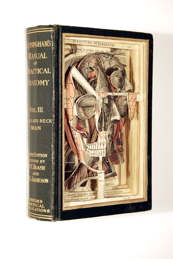BrianDettmer libro manualidades 0-1