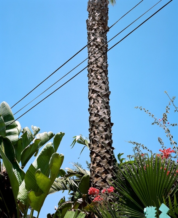 California_NickJoseph-fotografia-oldskull-03