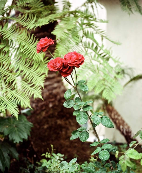 California_NickJoseph-fotografia-oldskull-28