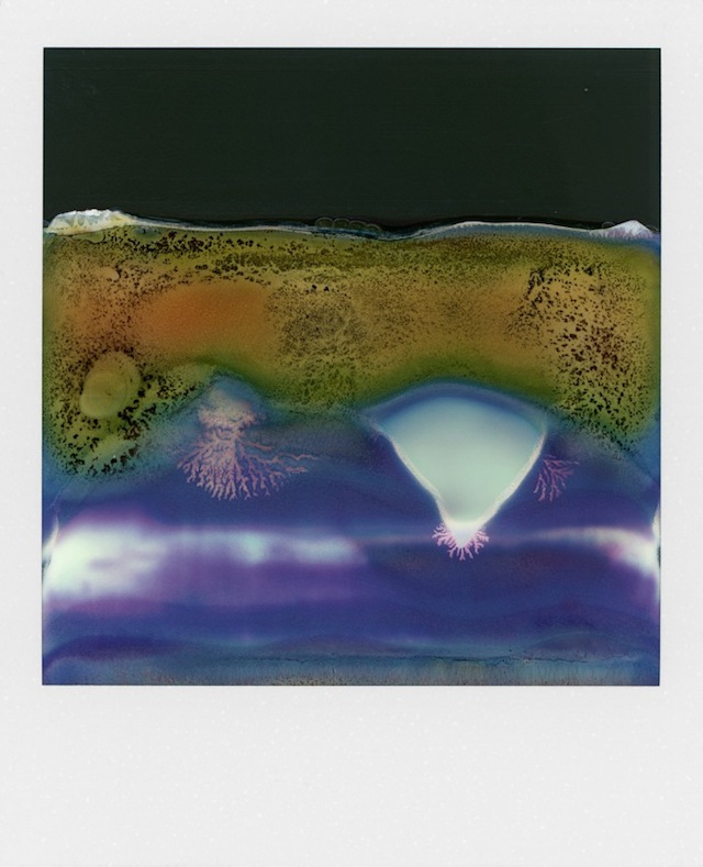 Polaroids_Caducadas-fotografia-oldskull-02