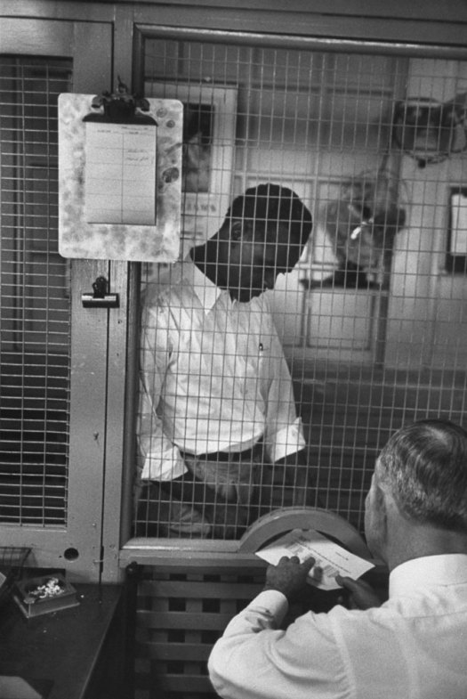 The_Prisonaires-fotografia-oldskull-08