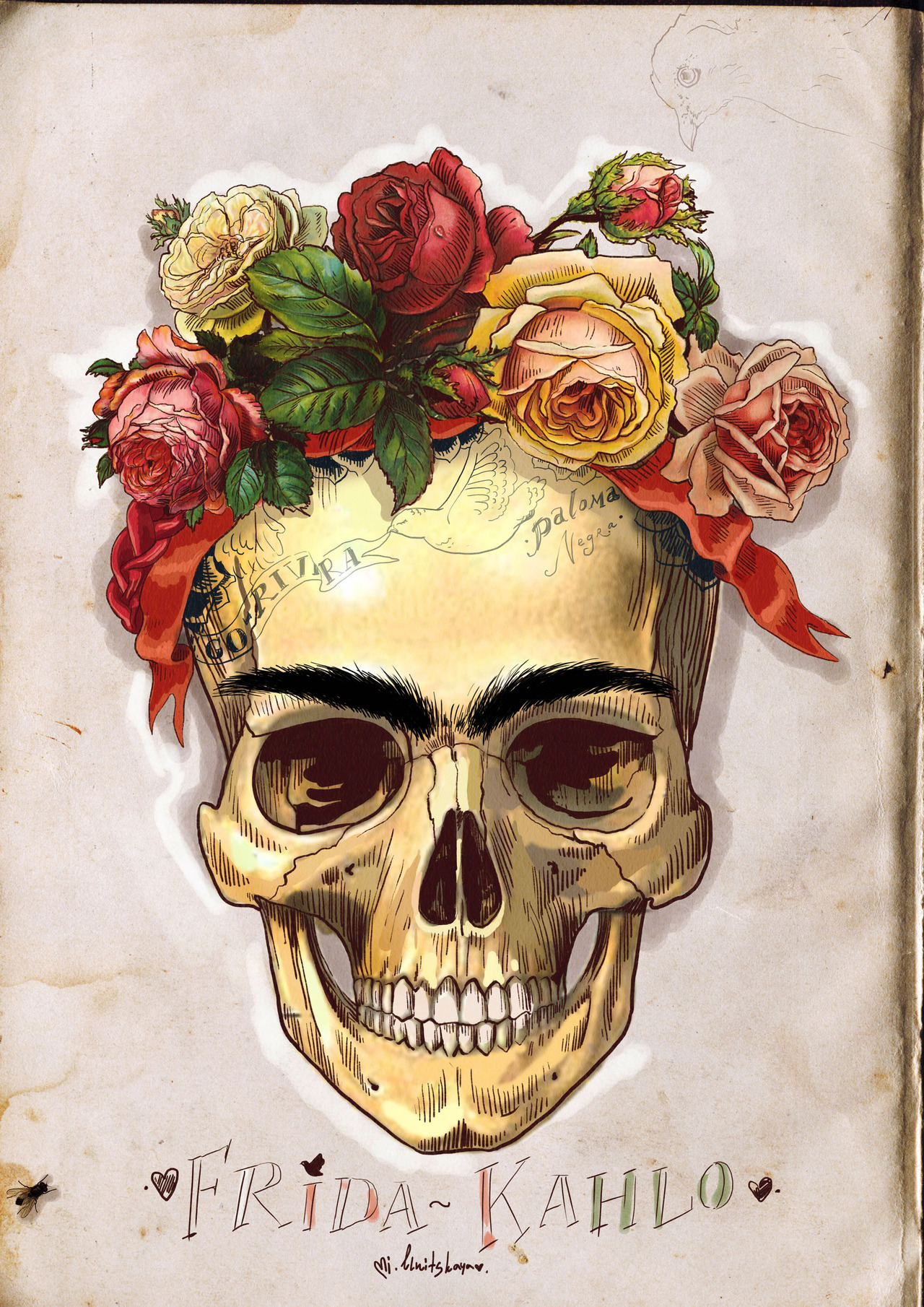 frida kahlo skull ilustracion