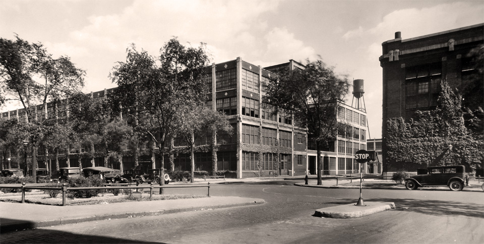 planta packard 6 antes