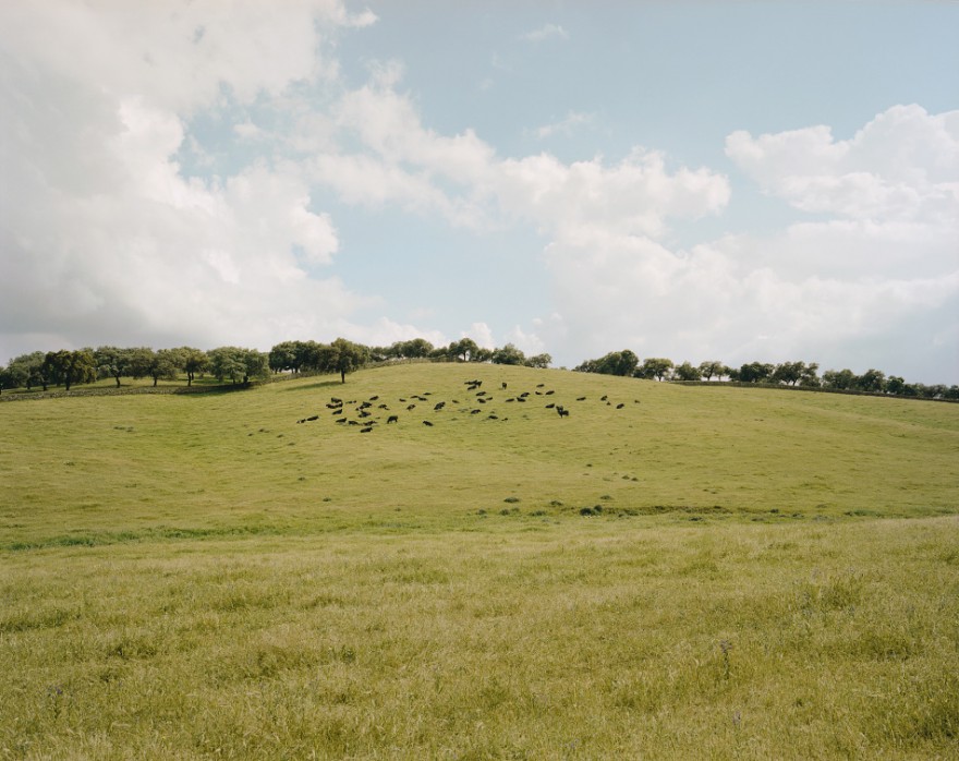 CountryFictions-fotografia-oldskull-02