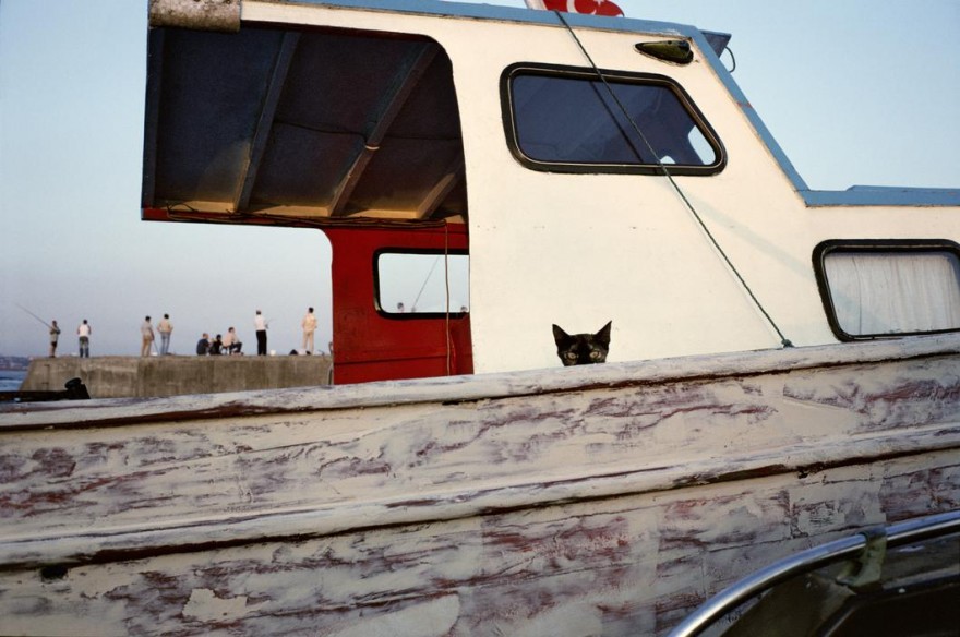 Instambul_AlexWebb-fotografia-oldskull-40