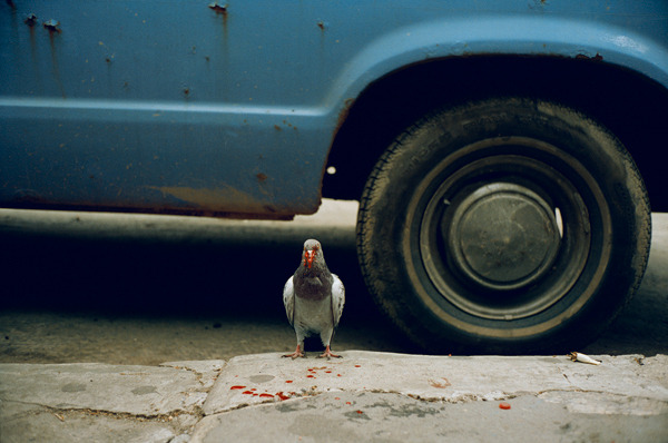 Sidewalks-fotografia-oldskull-02