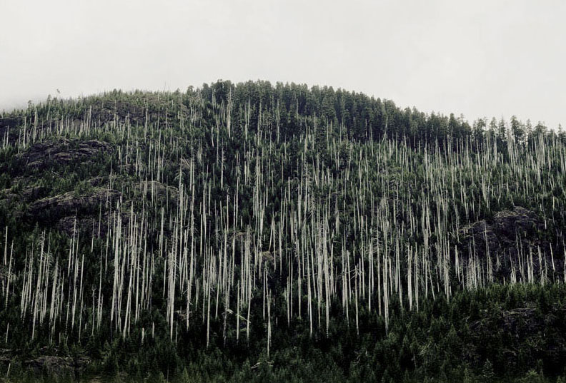 ericklemm-foto-oldskull-02