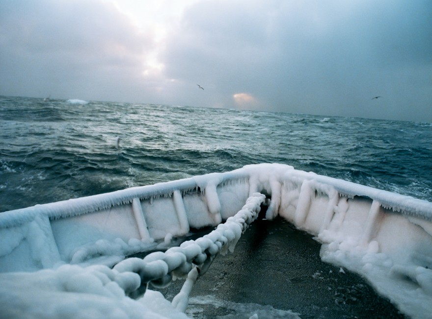 Icy Bow