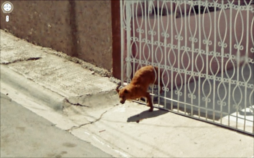 GoogleStreetView-fotografia-oldskull-05
