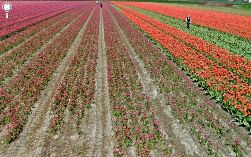 GoogleStreetView-fotografia-oldskull-24