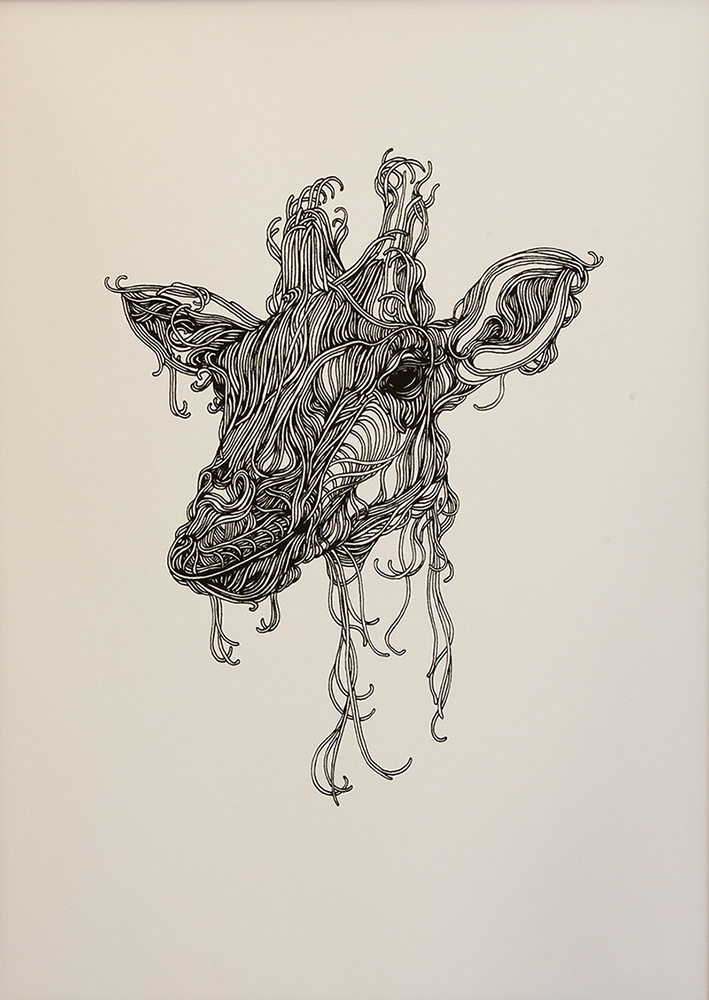 Max Gartner illustration 11