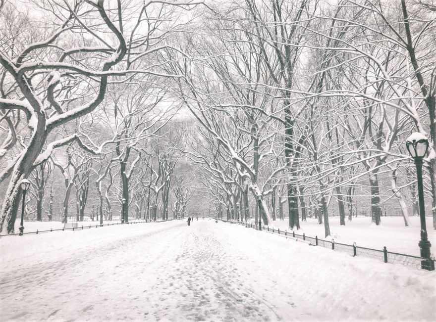 NYCWinter-fotografia-oldskull-02