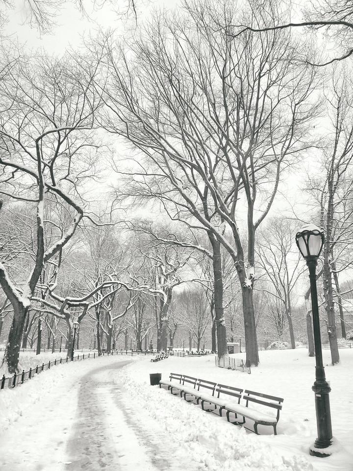 "Central Park Winter - Snow in the Afternoon - New York City"