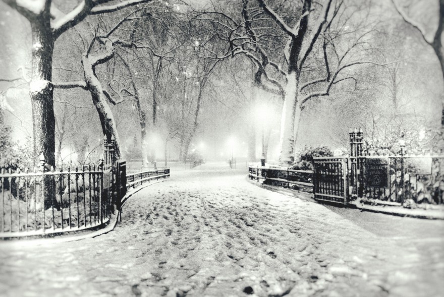 "New York City Winter - Snow - Night in Madison Square Park"