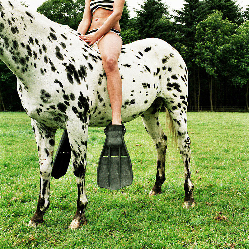 annelie vandendael photography 10