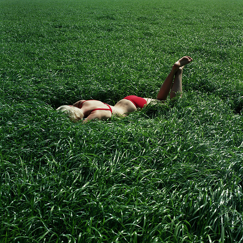 annelie vandendael photography 4