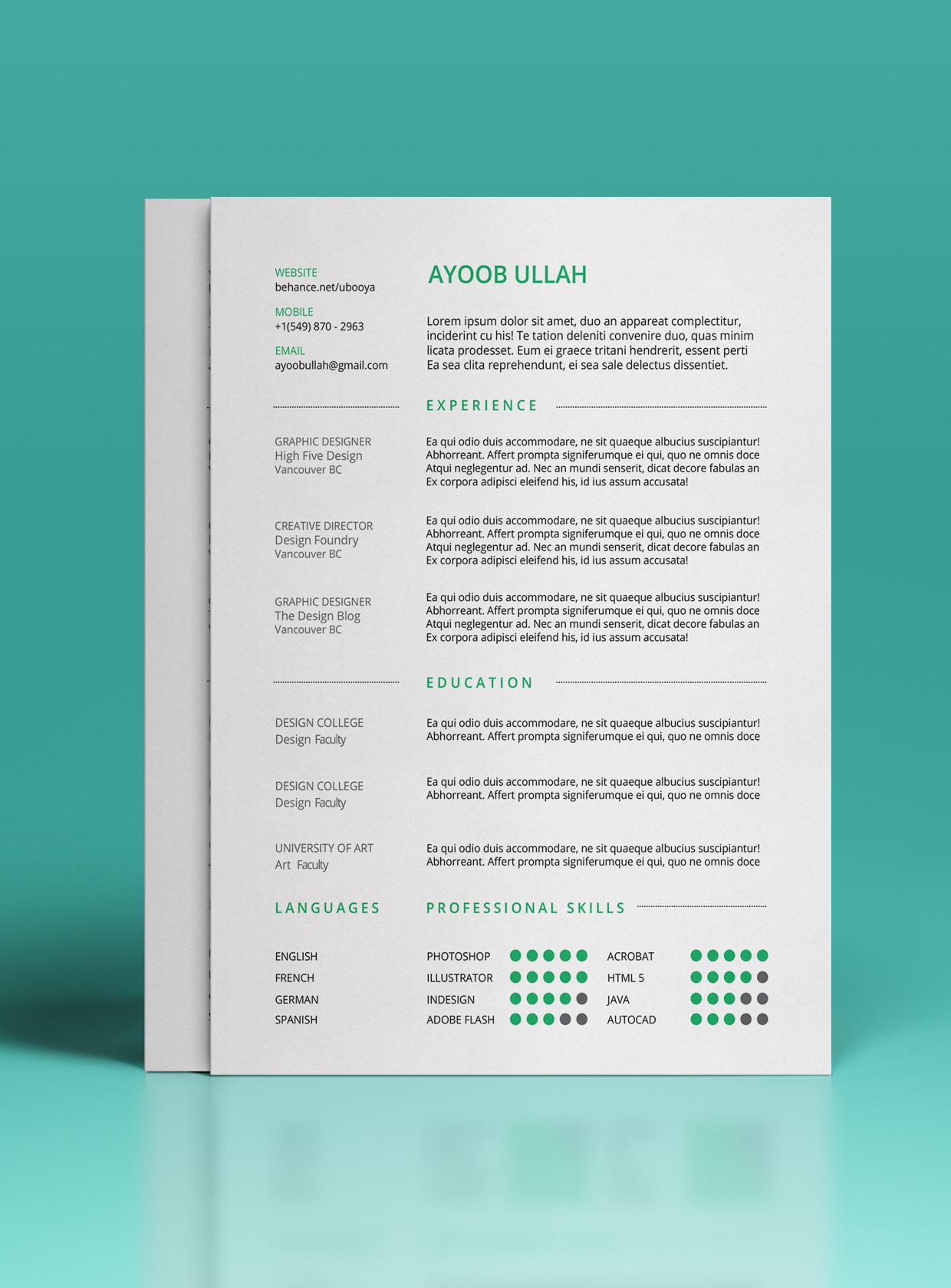 free curriculm vitae 5